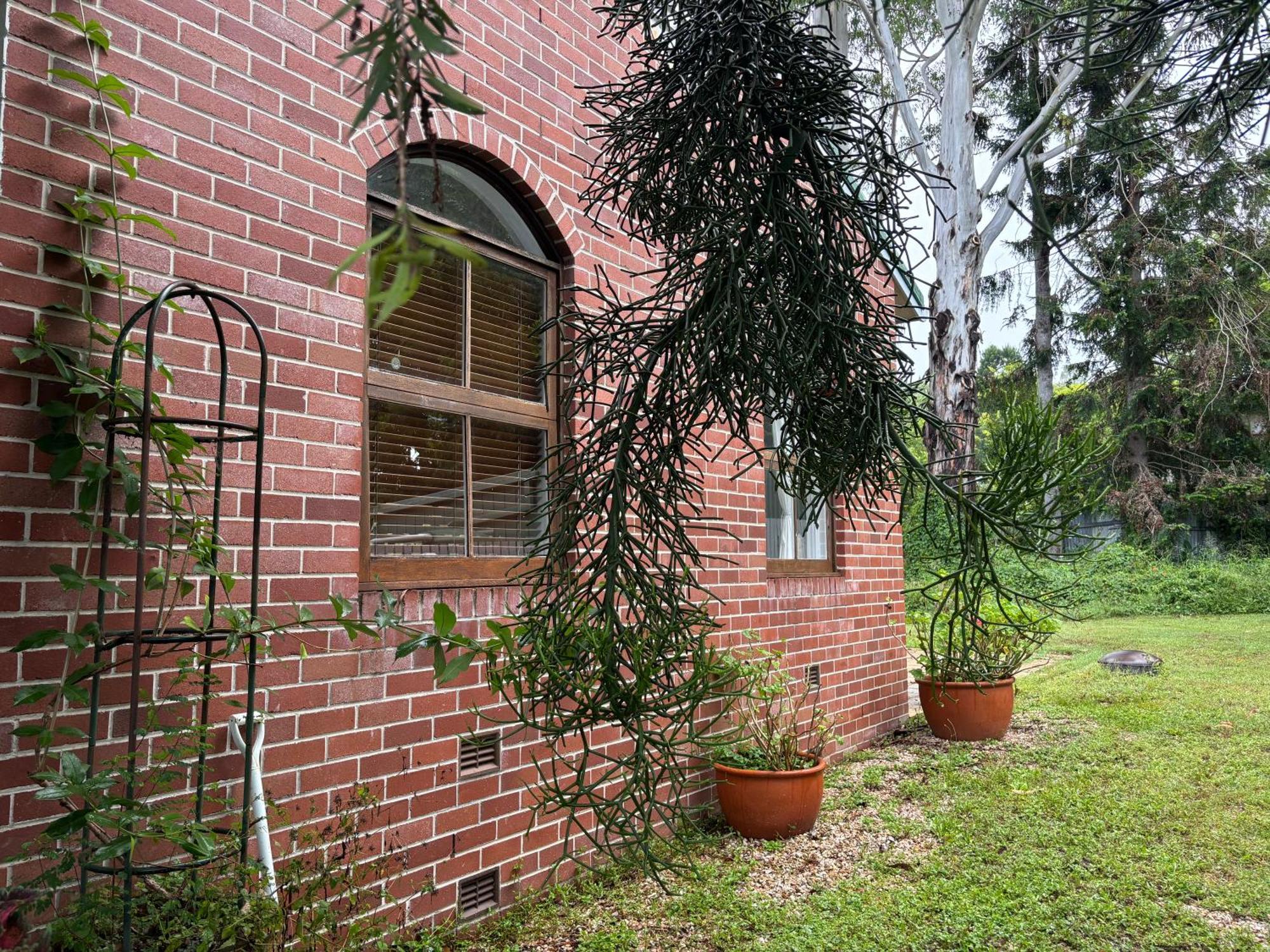 Celestial Dew Guesthouse In Tyalgum Bagian luar foto