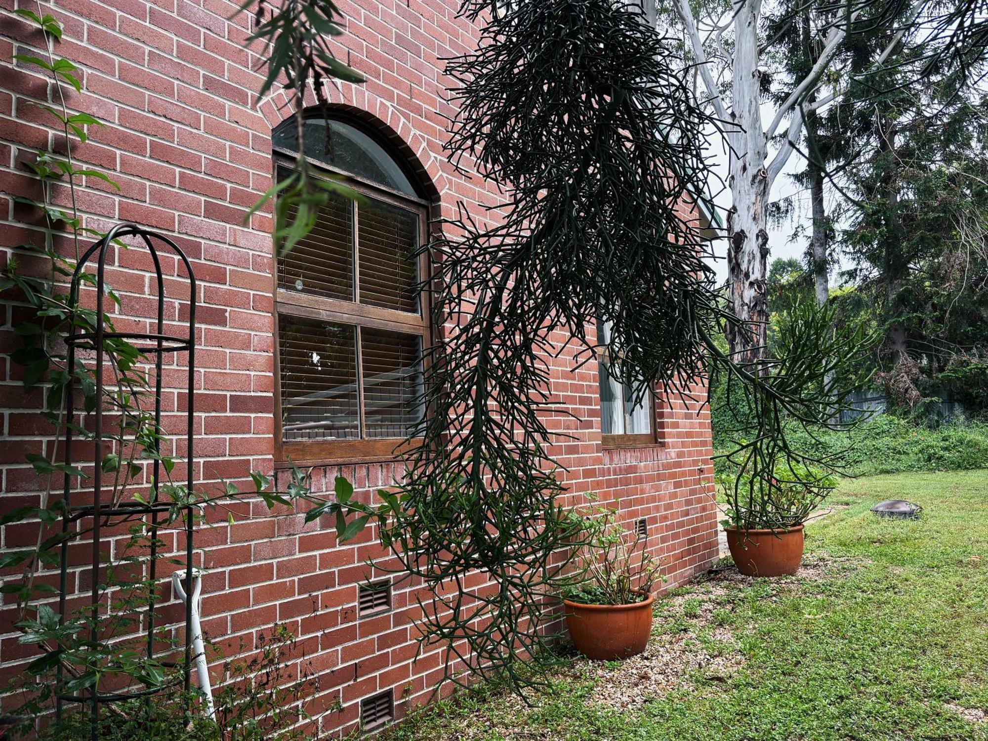 Celestial Dew Guesthouse In Tyalgum Bagian luar foto