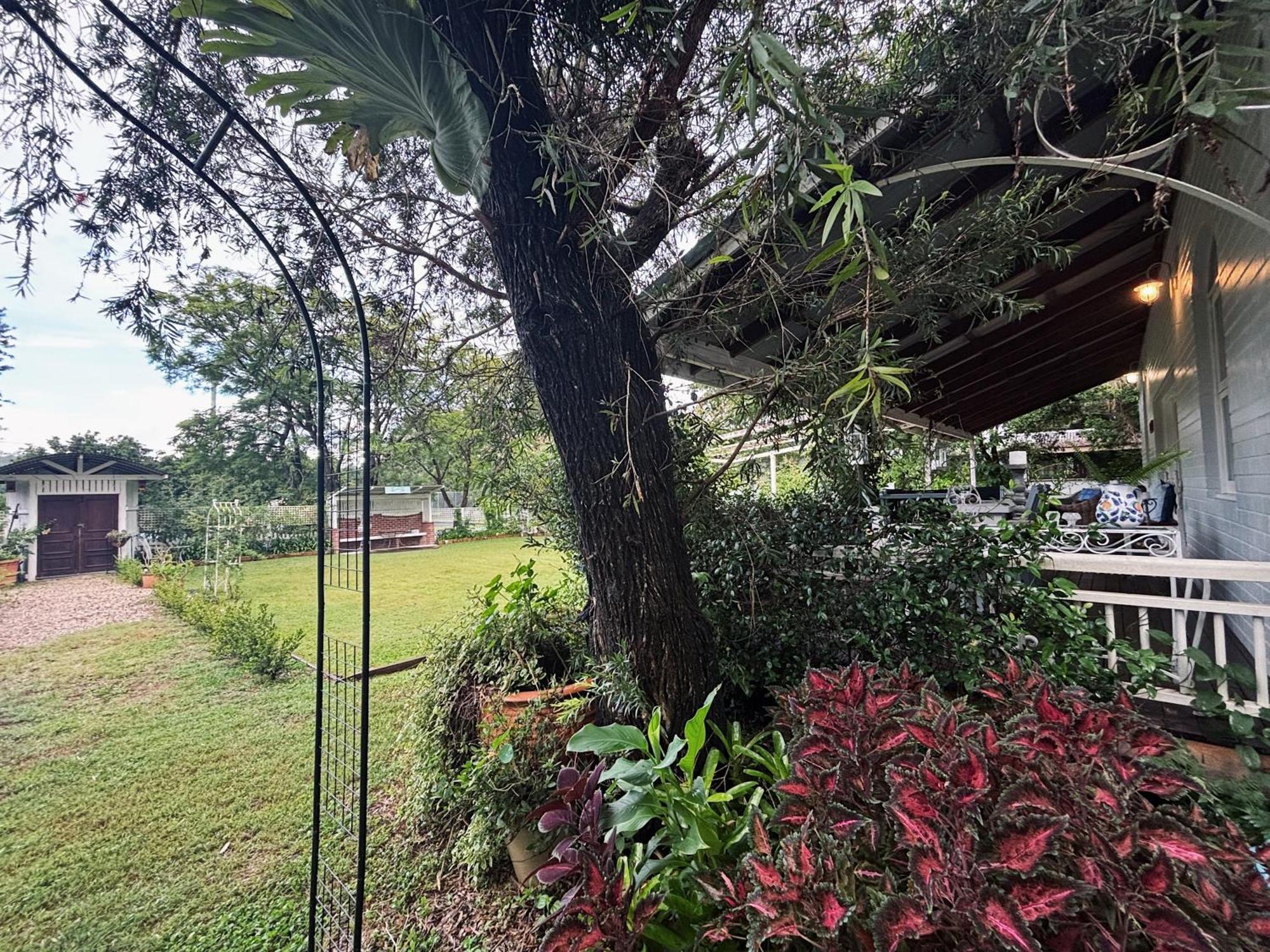 Celestial Dew Guesthouse In Tyalgum Bagian luar foto
